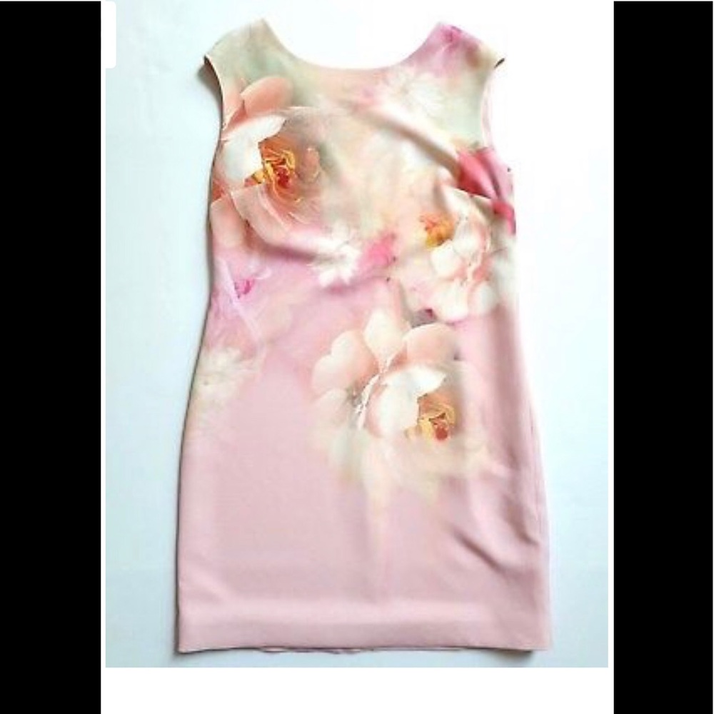 TED BAKER Damona Rose On Canvas Dress TED 3 US 6-8 - Picture 5 of 6